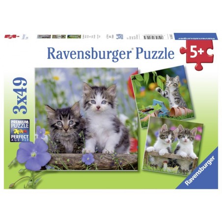 Jonge katjes 3x49 stukjes Ravensburger