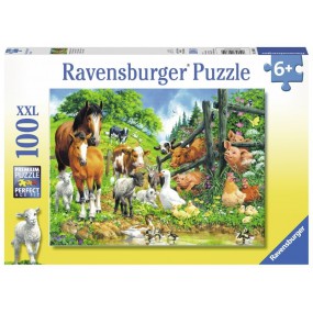 Dierenbijeenkomst  100stukjes