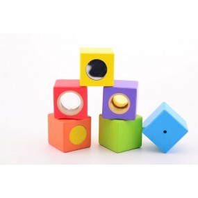 Houten ontdekkingsblokken (6 stuks)