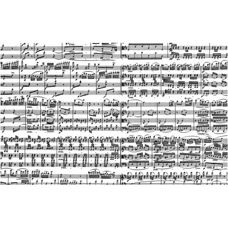 Muziek noten, 1000stukjes Piatnik