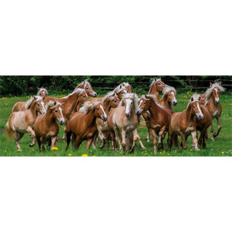 Haflinger Horses  (1000stukjes)