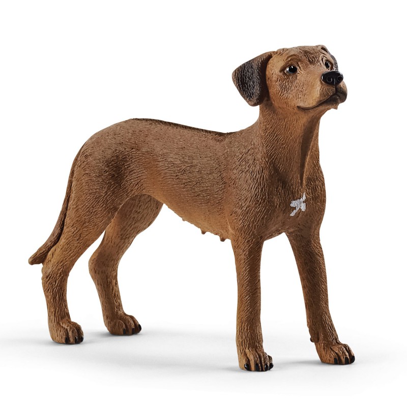 Schleich 13895 Rhodesian ridgeback