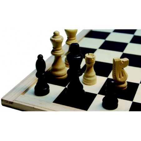 schaakstukken zwart/wit 