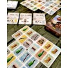 Circle the Wagons - Quined Games Circle the Wagons - Quined Games