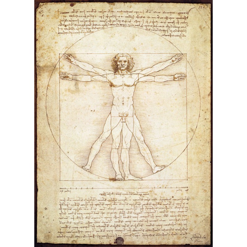 The Vitruvian Man- Leonardo Da Vinci, Eurographics 1000stukjes