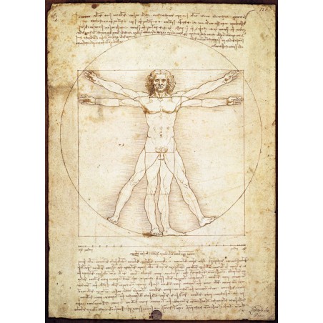 The Vitruvian Man- Leonardo Da Vinci, Eurographics 1000stukjes