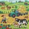 Op de boerderij 3x49p Ravensburger