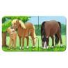 Dierenfamilies op de boerderij  9x2p Ravensburger