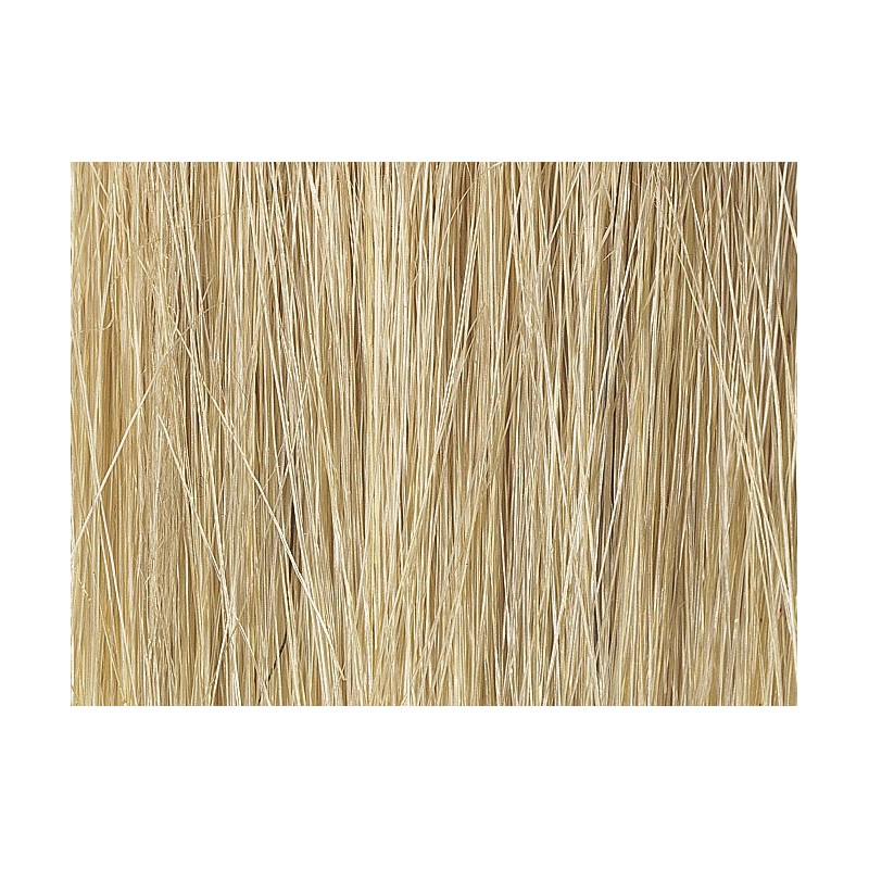 Riet assortiment, Noch