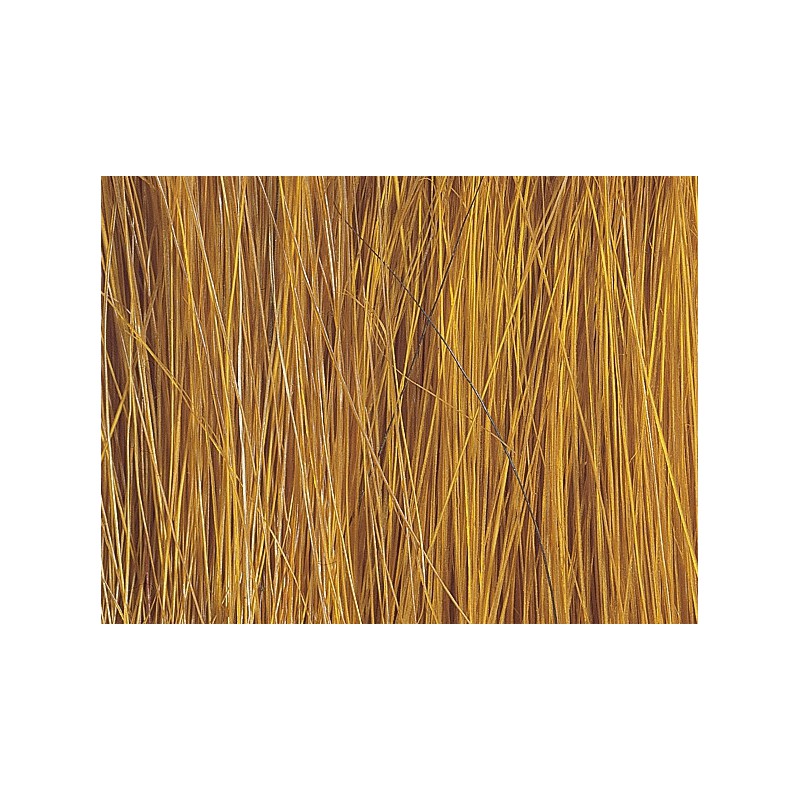 Riet assortiment, Noch