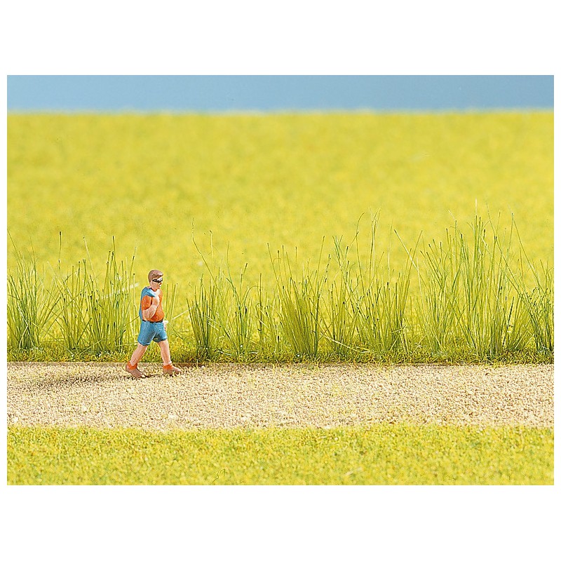 Riet assortiment, Noch