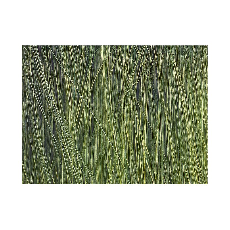 Riet assortiment, Noch