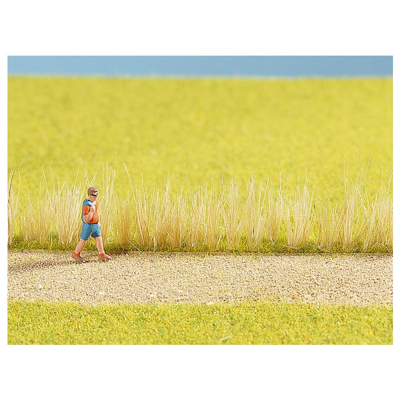 Riet assortiment, Noch