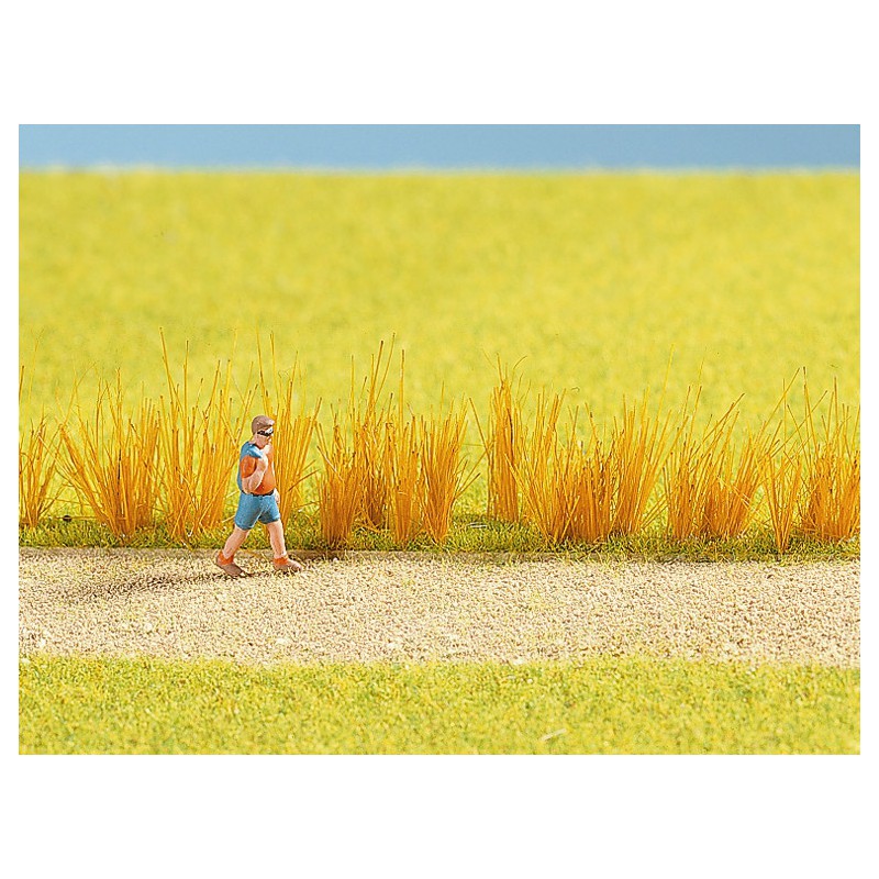 Riet assortiment, Noch