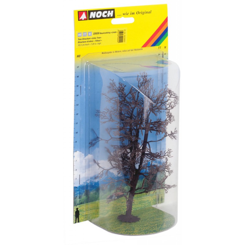 Boomstructuur Linde, Noch