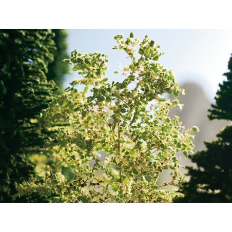 Natuur bomen, 15-30 stuks Noch