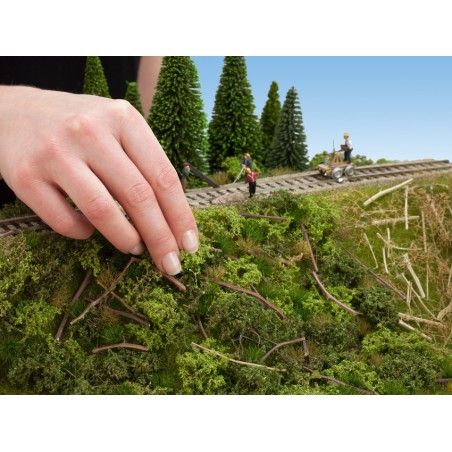 Spoordijkbeplanting, Noch