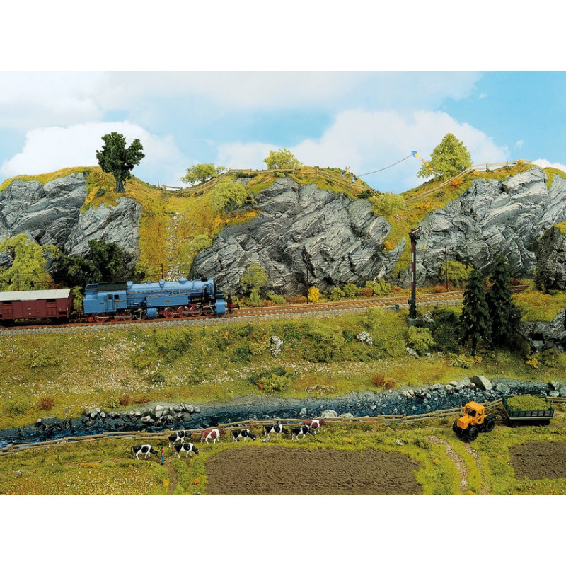 Rotsplaat "kalksteen", Noch