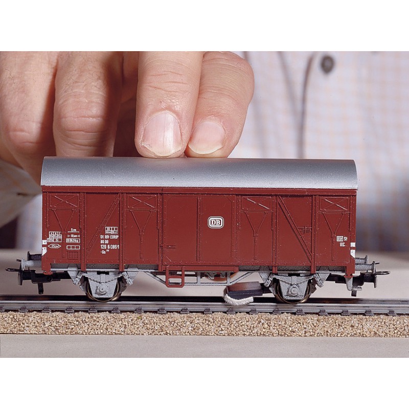 Reinigings-dwergen, Noch