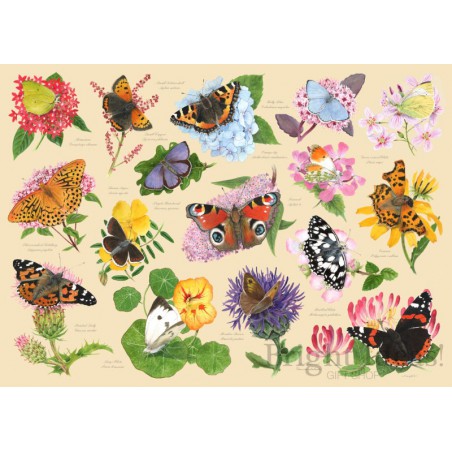 Garden Butterflies, 1000 stukjes