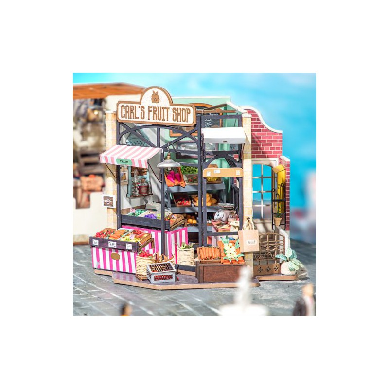 Carl’s Fruit Shop, Diy Miniature House