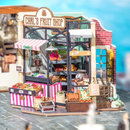 Carl’s Fruit Shop, Diy Miniature House