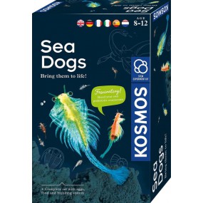 KOSMOS, Sea Dogs