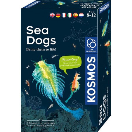 KOSMOS, Sea Dogs