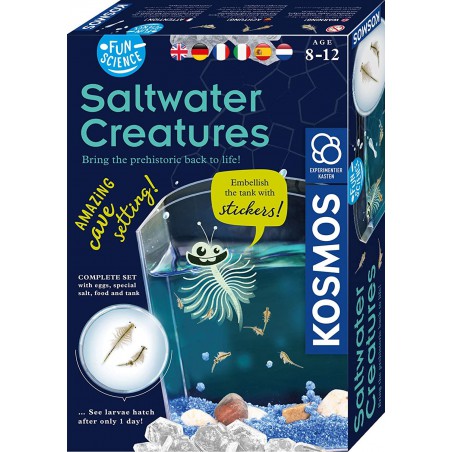 KOSMOS, Saltwater Creatures - Fun Science