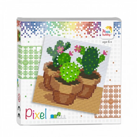 Pixel Set - Cactussen