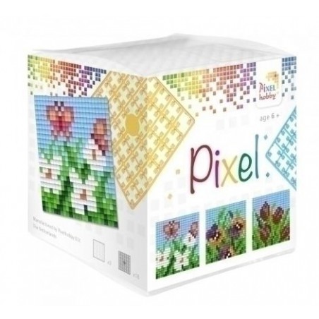 Pixel kubus - Bloemen