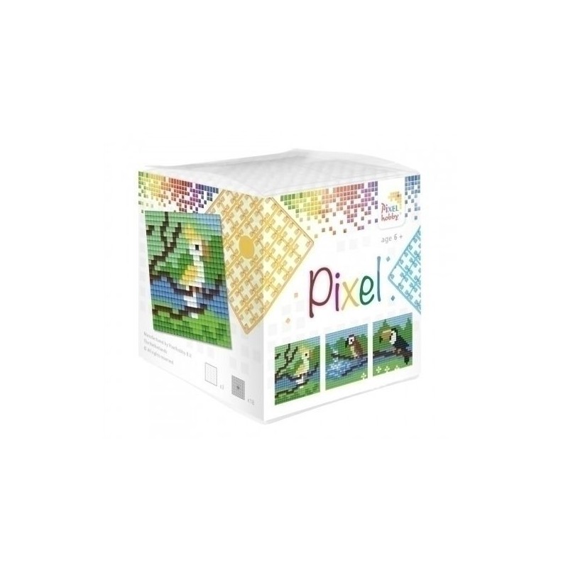 Pixel kubus - Tropische Vogels