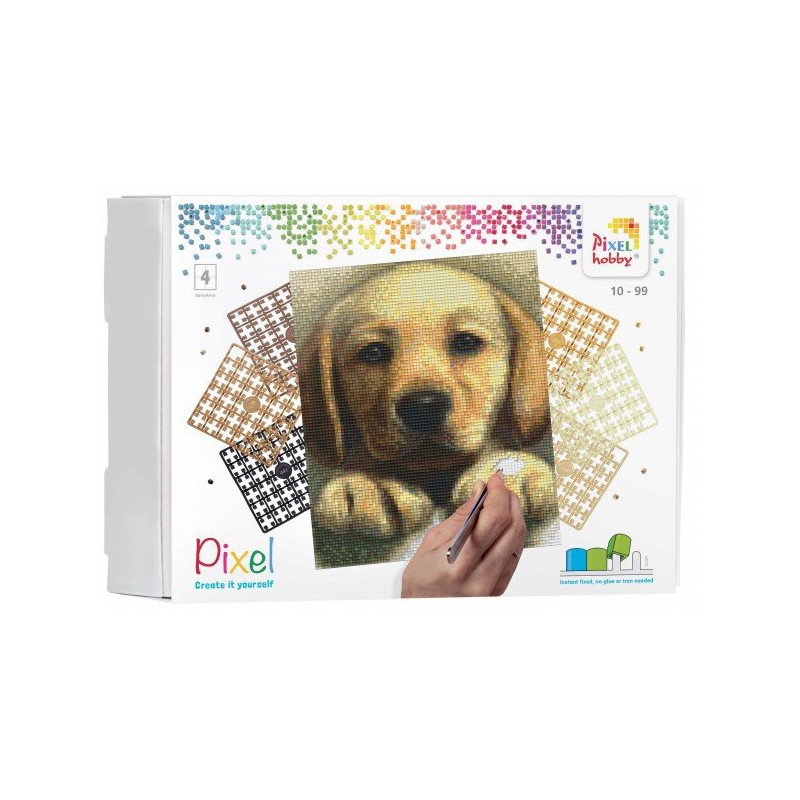 Golden Retriever Pup - 4 basisplaten