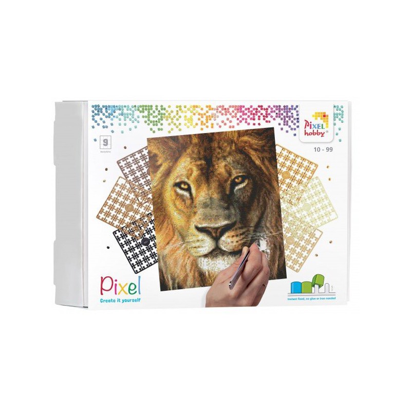 Leeuw - 9 basisplaten