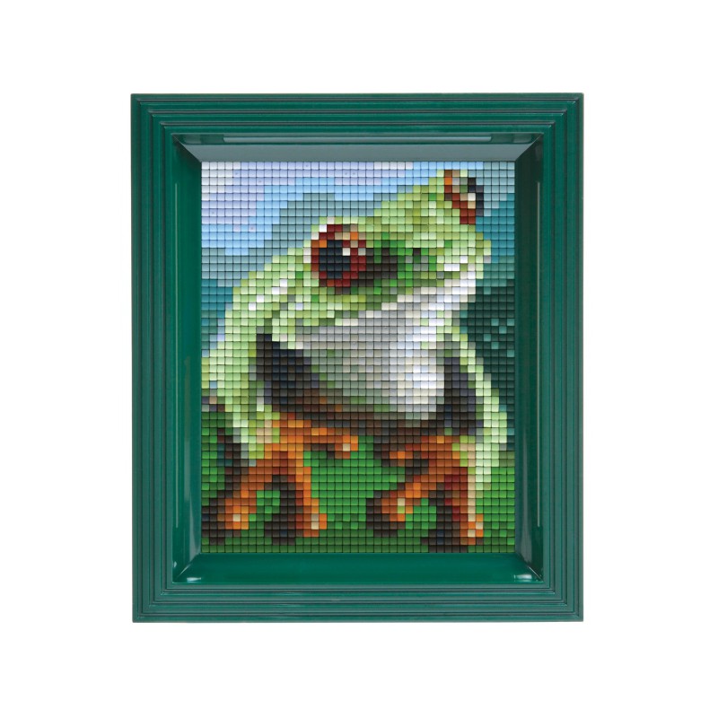 Pixel Hobby set - Kikker