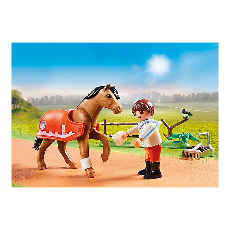 Playmobil - Verzamelpony Connemara 70516