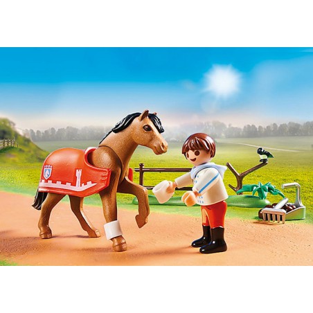 Playmobil - Verzamelpony Connemara 70516