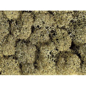 Decormos steengrijs 08600, Noch