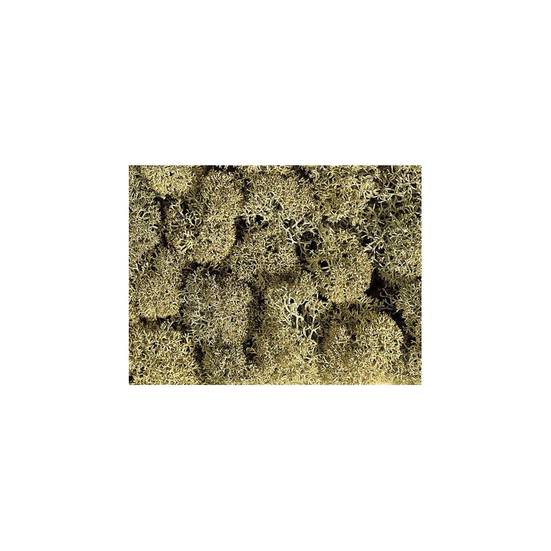 Decormos steengrijs 08600, Noch