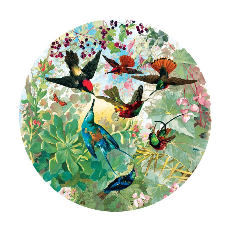 Hummingbirds 500 stukjes Eeboo