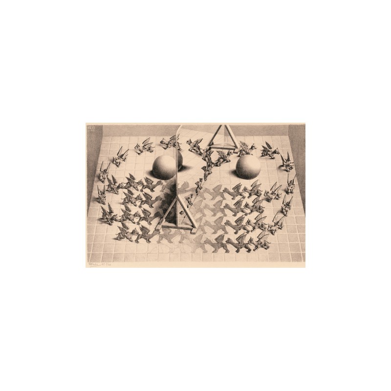 Toverspiegel - M.C. Escher 1000stukjes Puzzelman