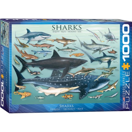 Sharks, Eurographics 1000stukjes