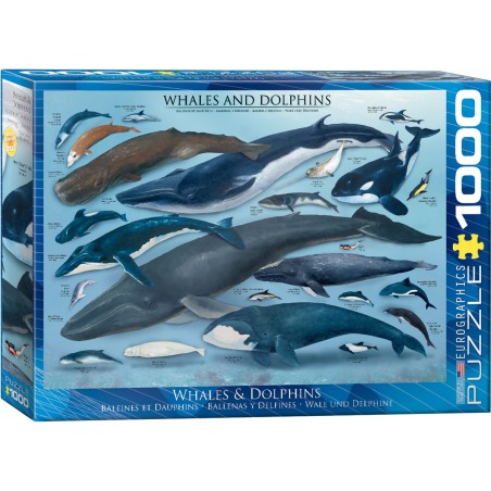Whales & Dolphins, Eurographics 1000stukjes