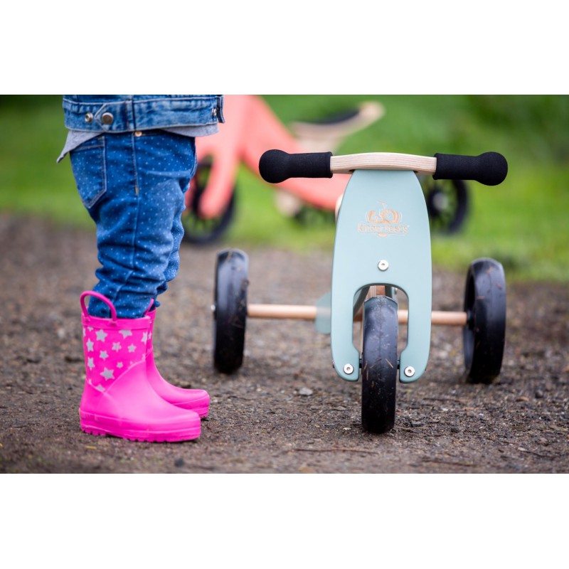 Kinderfeets houten loopfiets & driewieler Tiny Tot Sage