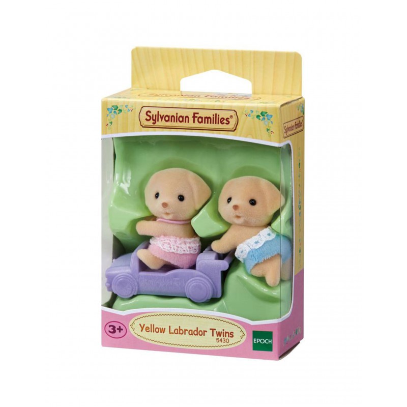 Tweeling Labrador 5430