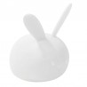 Nachtlamp Konijn