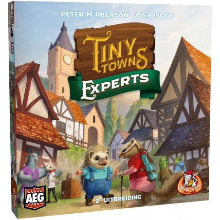 Tiny Towns: Experts