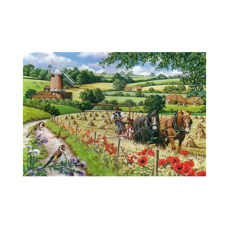 Windmill Lane, 500 XL stukjes House of Puzzels