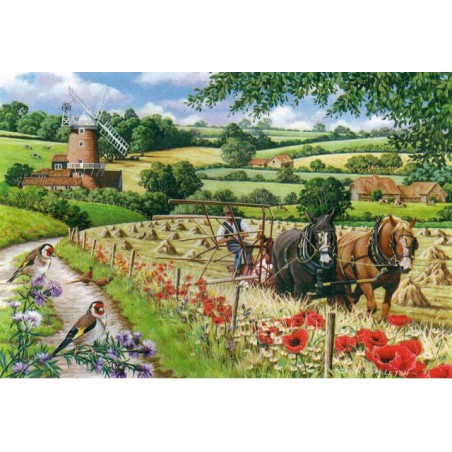 Windmill Lane, 500 XL stukjes House of Puzzels