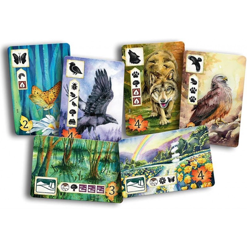 Meadow - Bordspel, Asmodee